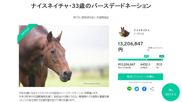 元競走馬「ナイスネイチャ」の誕生日記念寄付、わずか24時間で1,300万円超え！ ―『ウマ娘』人気も後押しか