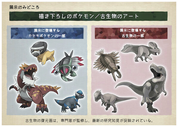 日本全国を回る巡回展示「ポケモン化石博物館」近夏より開催決定！「カセキポケモン」の実物大骨格模型や骨格想像図を展示