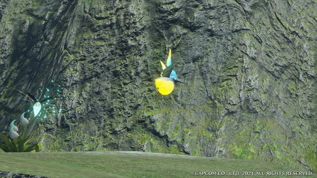 『モンハンライズ』の“環境生物”を、設定画・ラフ画と比較！ 再現度が高く、意外なラフ画に驚きも─「コウモリ骨」のエンエンクってなに!?