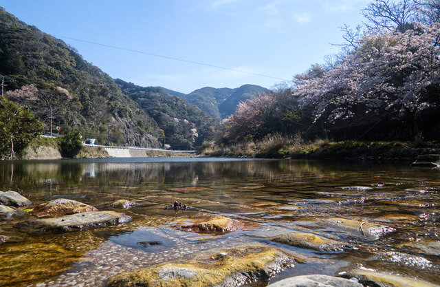 【Travel of Tsushima】聖地巡礼したい境井仁向けリアル対馬旅行ガイド 第二回―リアル対馬でもっとも『Ghost of Tsushima』なのはどこ？5段階評価で「ぽさ」を評価