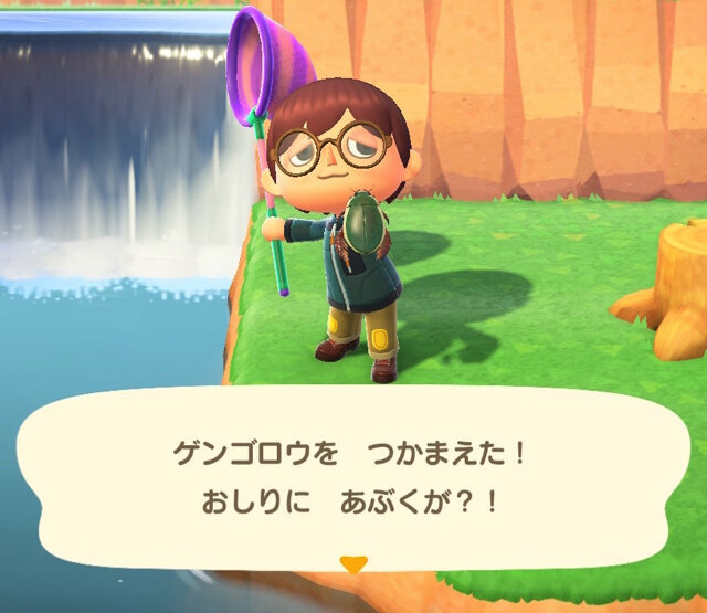 昆虫界のトップスイマー！『あつまれ どうぶつの森』で採れる「ゲンゴロウ」ってどんな虫？【平坂寛の『あつ森』博物誌】