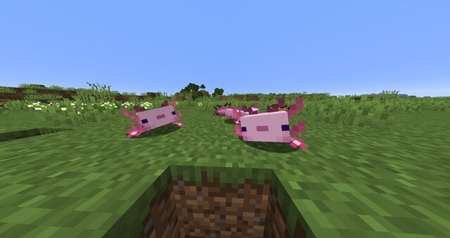 マインクラフト 大型アップデート Caves Cliffs 第1弾が日本時間6月9日に配信 ヤギ や 光るイカ など新たなモブが登場 インサイド マインクラフト 大型アップデート Caves Cliffs 第1弾が日本時間6月9日に配信 ヤギ や 光るイカ など新たなモブが登場 インサイド