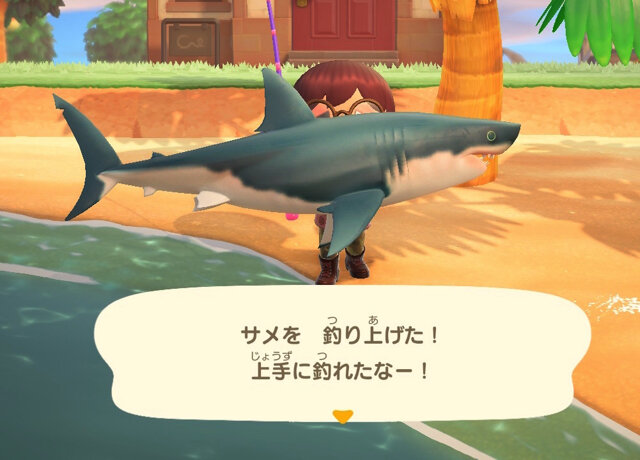 方法 サメ を 釣る あつ 森 【あつ森】サメの値段と出る時間【あつまれどうぶつの森】｜ゲームエイト