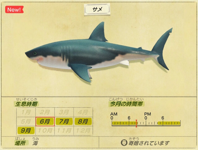 正体は ザメ あつまれ どうぶつの森 で釣れる サメ ってこんな魚 平坂寛の あつ森 博物誌 インサイド
