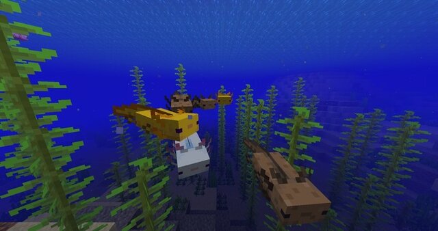 マインクラフト 大型アップデート Caves Cliffs 第1弾が日本時間6月9日に配信 ヤギ や 光るイカ など新たなモブが登場 インサイド マインクラフト 大型アップデート Caves Cliffs 第1弾が日本時間6月9日に配信 ヤギ や 光るイカ など新たなモブが登場 インサイド