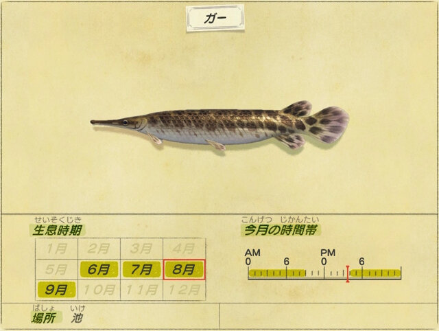 日本にも生息 あつまれ どうぶつの森 で釣れる ガー ってどんな魚 平坂寛の あつ森 博物誌 インサイド