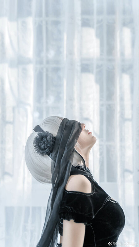 2B『Nier：Automata』／モデル：阿九从不咕咕