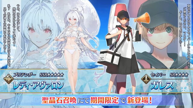 FGO レディアヴァロン 水着 光崎 スリーブ プレイマット セット ...