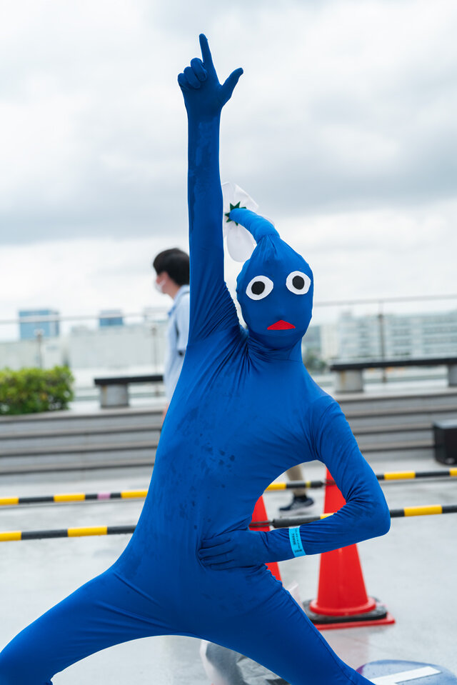 オーダー再開 ピクミン ハロウィン コスプレ