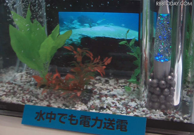 水槽に入れたデジタルフォトフレームにも送電 水槽に入れたデジタルフォトフレームにも送電