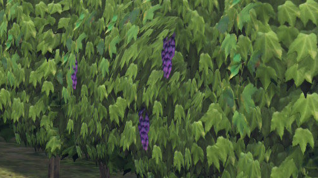 『ポケモンZA』のブドウは“ペラペラ”―『FF14』ローポリブドウの新種現る