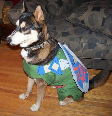 犬もハロウィンにはオシャレを 海外ゲームファンの作ったコスプレ集 インサイド