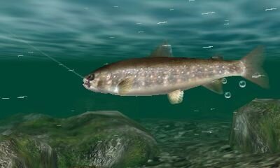 3ds初の釣りゲーム Fish Eyes 3d 発売決定 4枚目の写真 画像 インサイド