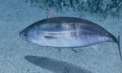 3ds初の釣りゲーム Fish Eyes 3d 発売決定 5枚目の写真 画像 インサイド