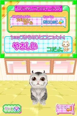 かわいい子猫DS