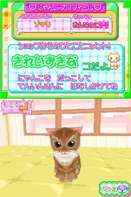 かわいい子猫DS