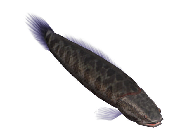 釣りパラダイス!