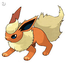 ポケットモンスター ブラック2 ホワイト2 ポケセン限定フェスミッションで かくれとくせい を持ったイーブイをゲット 5枚目の写真 画像 インサイド