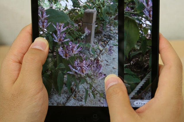 「写真」アプリで撮影した写真をスクロールさせる際にも、指が画面に掛かっていても大丈夫
