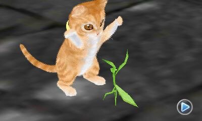 猫の知識を高める新要素搭載 かわいい子猫3d 19枚目の写真 画像 インサイド