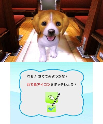 村で動物たちとの生活を満喫『オシャレでかわいい 子犬と遊ぼ!-海編-』12月20日発売