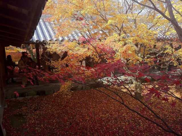 東福寺