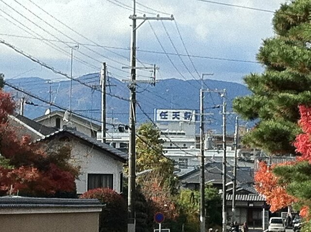 東福寺からは任天堂も見えます