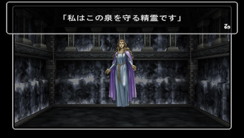 ホワイトブラウン ウィザードリィ エンパイアIII ~覇王の系譜~ - PSP