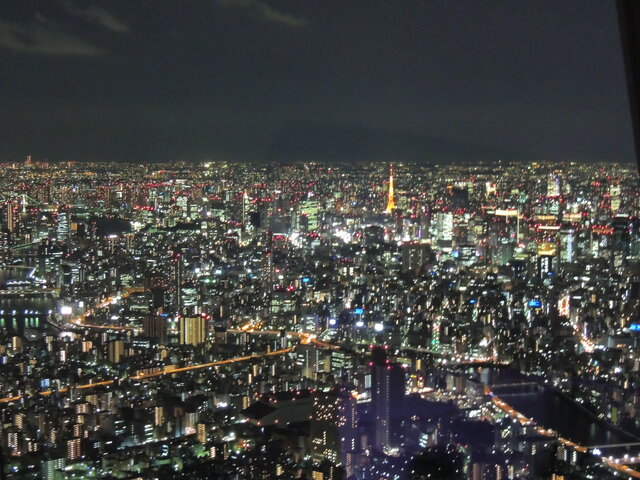 東京タワーもミニチュア模型のようです