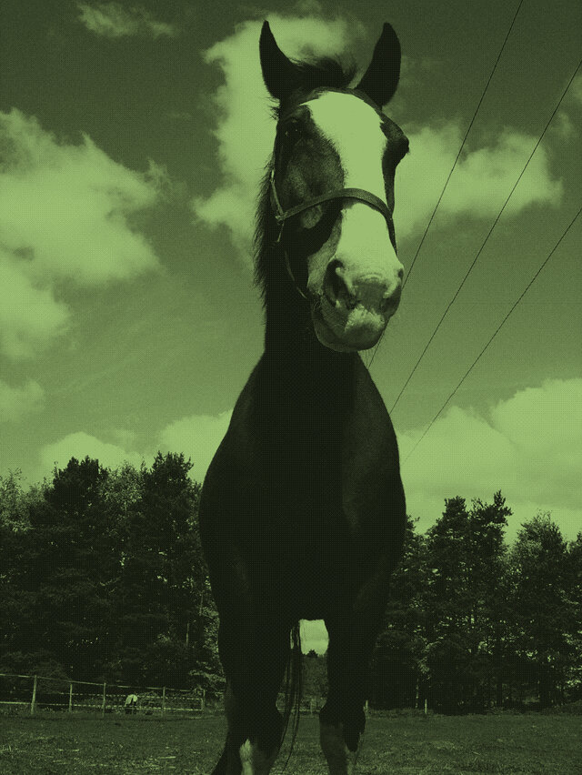 【コラム: ENVELOPESのマリオカート大作戦！】EPISODE 1 : 幕開け