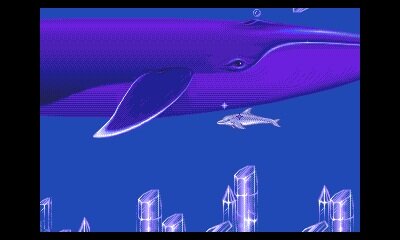 巨大なクジラも3Dに