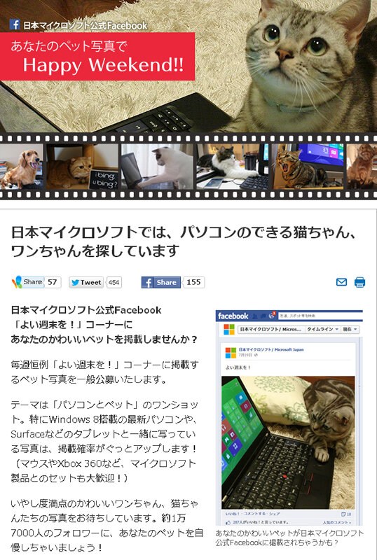 パソコンのできる猫ちゃんとワンちゃん募集ページ