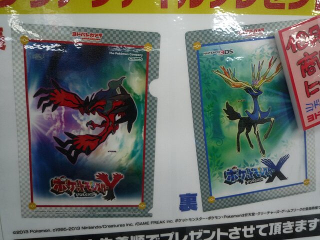 ヨドバシカメラ ポケットモンスターx Y 予約者に先着でオリジナル特典をプレゼント 2枚目の写真 画像 インサイド