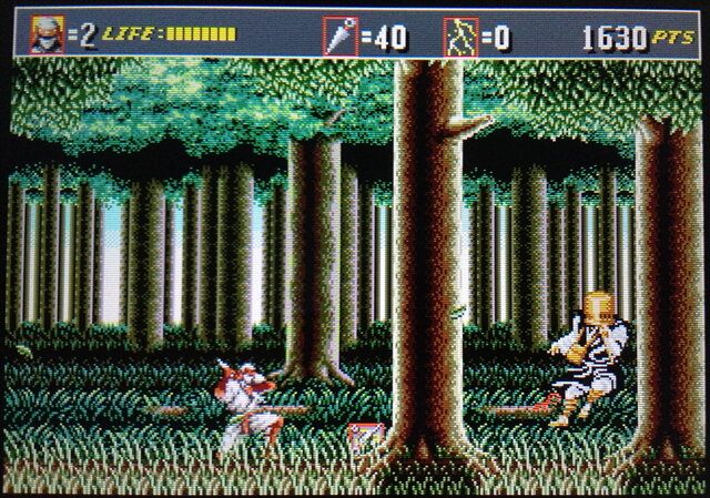 1993年にメガドライブで発売されたアクションゲーム『ザ・スーパー忍II』の3DS向け移植作