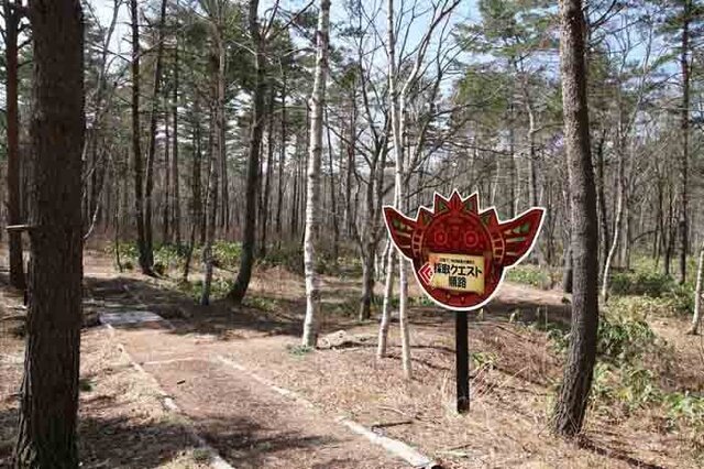 志賀高原の自然の中で採ったキノコをバーベキュー