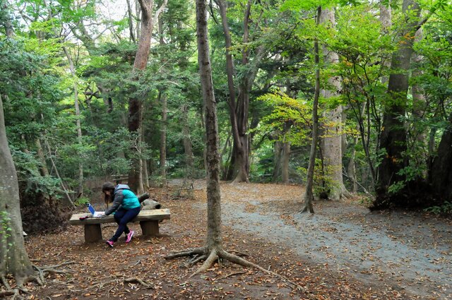 女子は山奥でゲーム実況をキャプれるか