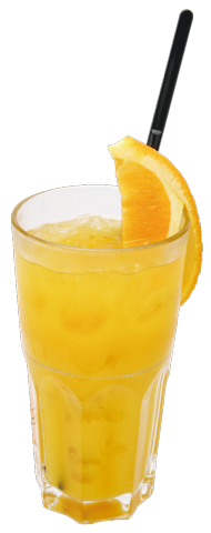 徳川 家康 “天道突き”