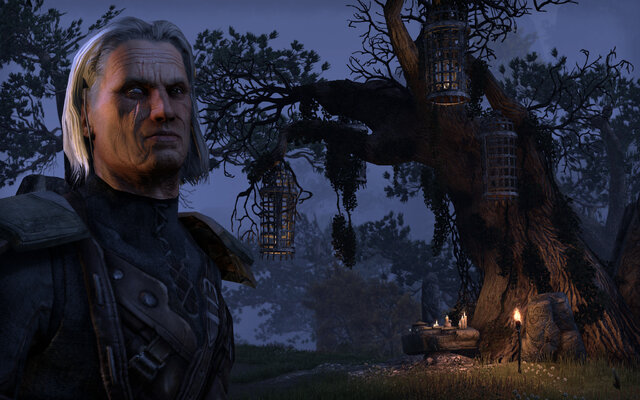 The Elder Scrolls Online 日本での発売決定 正式サービスインは4月4日 1枚目の写真 画像 インサイド