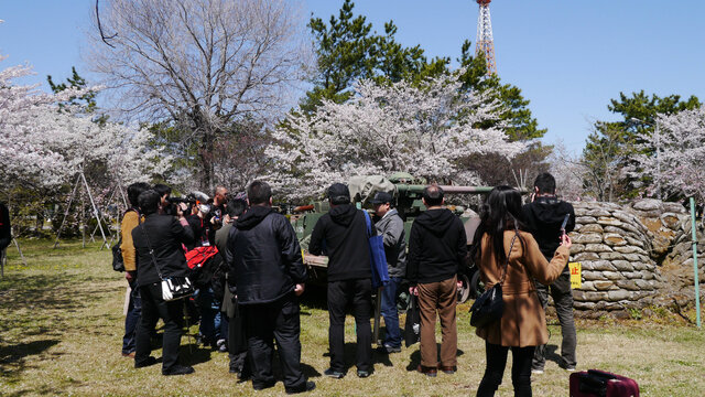 陸上自衛隊土浦駐屯地で戦車と一緒にお花見をしてきた