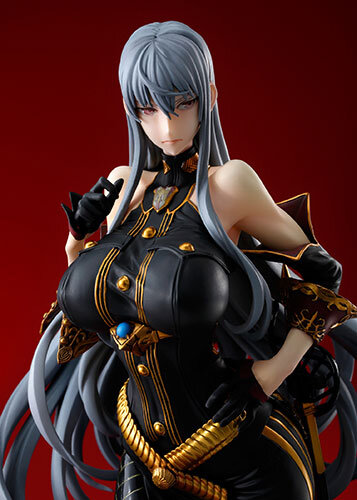 未開封 戦場のヴァルキュリア セルベリア・ブレス WF 限定カラー