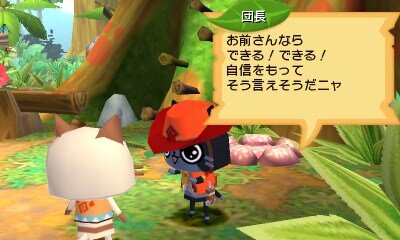 3ds ぽかぽかアイルー村dx に Mh4g のアイルーやモンスターが新登場 2枚目の写真 画像 インサイド