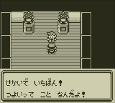 3ds向けvc ポケモン 赤 緑 青 ピカチュウ 続報 交換 対戦も可能で 特別版にはタウンマップなどが付属 12枚目の写真 画像 インサイド