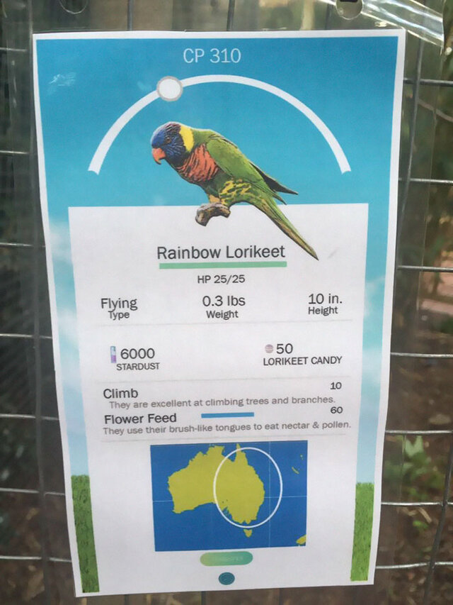 米動物園 ポケモンgo 風のユニークな説明看板を作成 フラミンゴはcp140 インサイド 米動物園 ポケモンgo 風のユニークな説明看板を作成 フラミンゴはcp140 インサイド