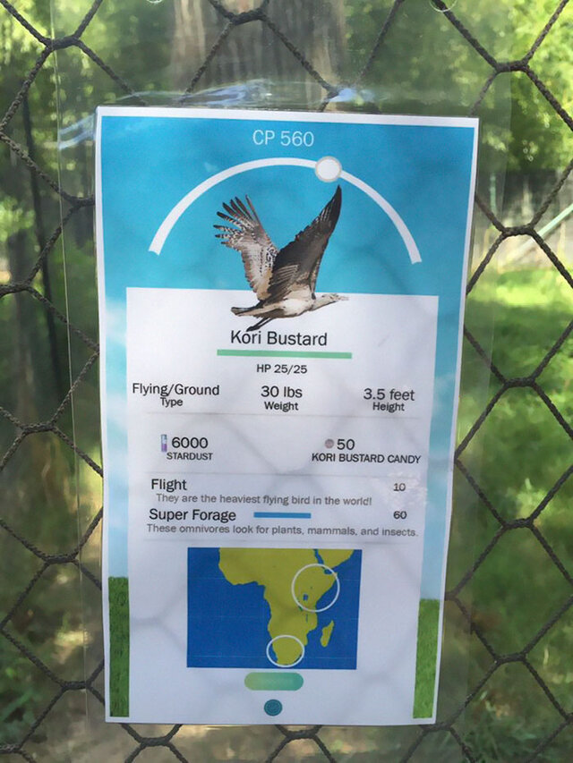 米動物園、『ポケモンGO』風のユニークな説明看板を作成…フラミンゴはCP140