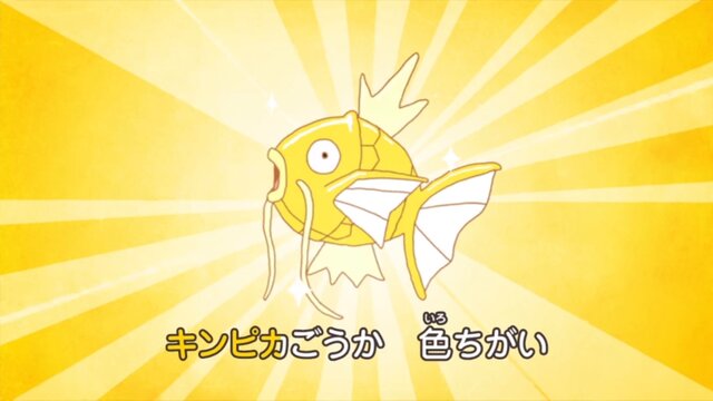 最弱なポケモン コイキング の歌が泣ける コイキングへの愛を語るサイト I Love コイキングさん オープン 7枚目の写真 画像 インサイド 最弱なポケモン コイキング の歌が泣ける コイキングへの愛を語るサイト I Love コイキングさん オープン 7枚目の写真 画像 インサイド