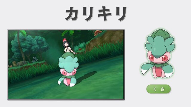 ポケモン サン ムーン 新動画が公開 ポケモンたちの新しい力 Zワザ やアローラ地方独特のポケモンなどが登場 23枚目の写真 画像 インサイド