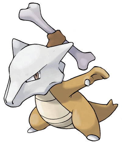 ポケモン サン ムーン 内臓で殴るポケモン ナマコブシ やリージョンフォームの ライチュウ など詳細情報が公開 インサイド