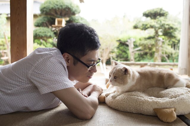 ねこあつめ 17年に実写映画が公開決定 主演は伊藤淳史 タレント猫 シナモン インサイド
