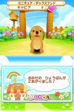 まちのペット屋さんDS2 〜ワンニャン333匹大集合〜