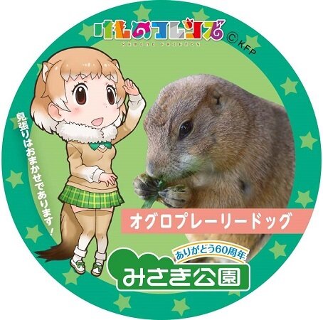 「けものフレンズ」夏休み動物園コラボ第1弾が発表、大阪「みさき公園」でキャラパネルやコラボ缶バッジが登場